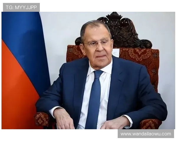 新普京：俄罗斯经济改革与社会发展的新方向探索