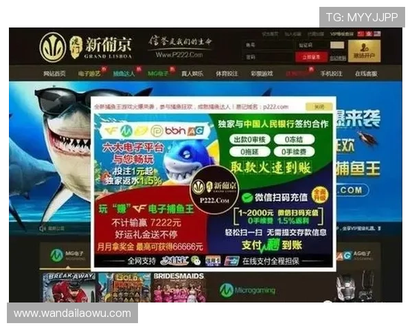 新葡京官方网站游戏种类介绍与玩法攻略大全