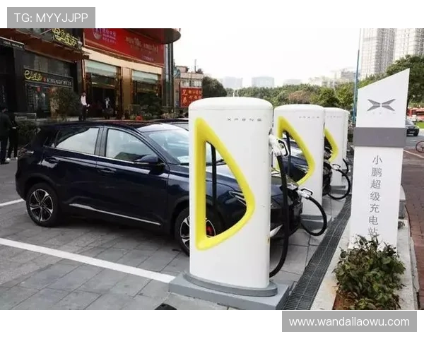 太阳城亚洲支付方式多样化,便捷快速的充值提现体验保障玩家权益