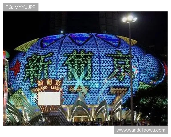 澳门新葡京网站入口稳定流畅,带来极致的线上娱乐体验与丰富的游戏选择