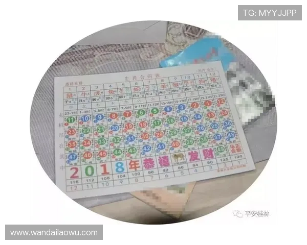 六合彩官方入口全天候在线,实时开奖信息及时推送保障用户权益 六合彩官方入口全天候在线,实时开奖信息及时推送保障用户权益